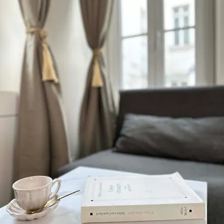 Luxurious flat near Louvre&Orsay museums *